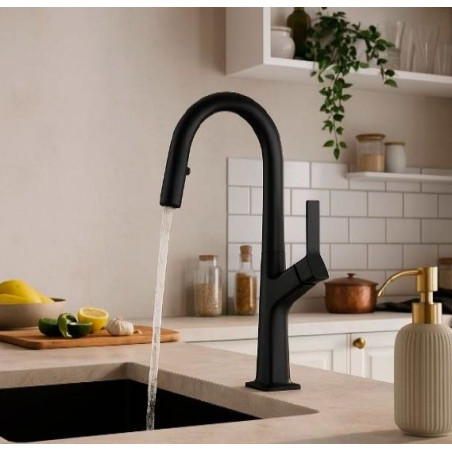 Grifo monomando Nova FR41GM, extraible, gunmetal,